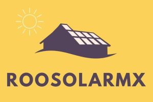 WhatsApp Image 2026-03-13 at 2.26.09 PM